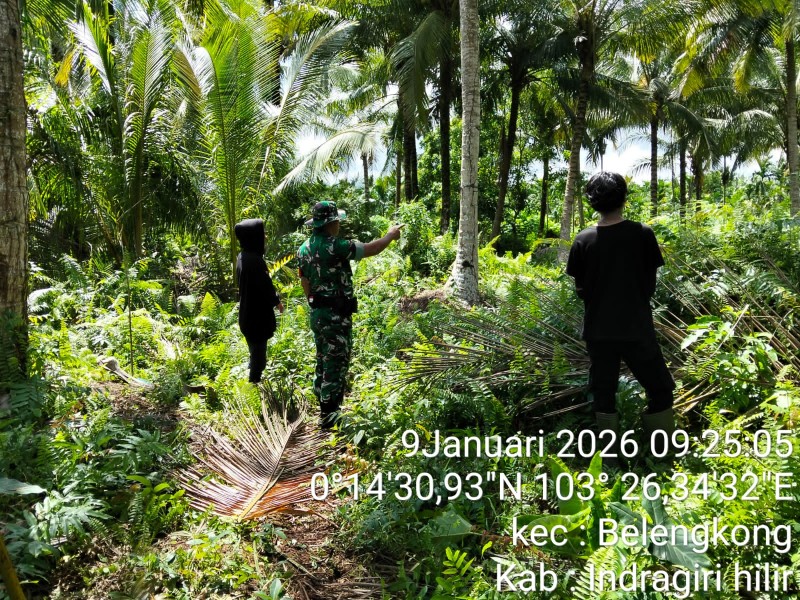 Babinsa Koramil 06/Kateman Laksanakan Patroli Tapal Batas, Pastikan Wilayah Bebas Karhutla