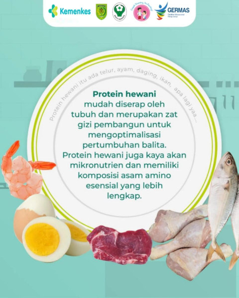 Pentingnya Sumber Protein Hewani untuk Menu MP - ASI dalam Pencegahan Stunting?