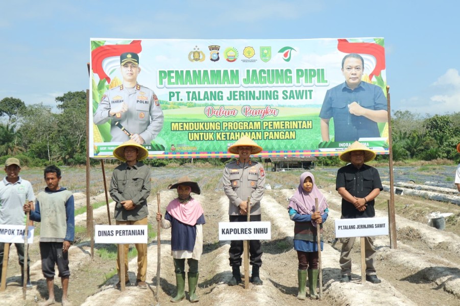 Dukung Program Ketahanan Pangan, Polres Inhu Kolaborasi dengan PT TJS Tanam Jagung Pipil di Talang Jerinjing