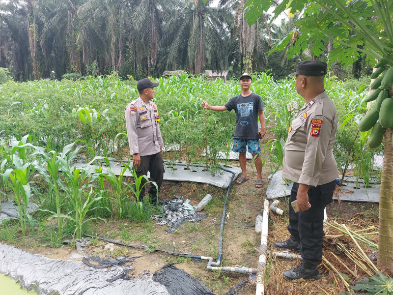 Polisi Berkoordinasi dengan Petani untuk Mewujudkan Ketahanan Pangan