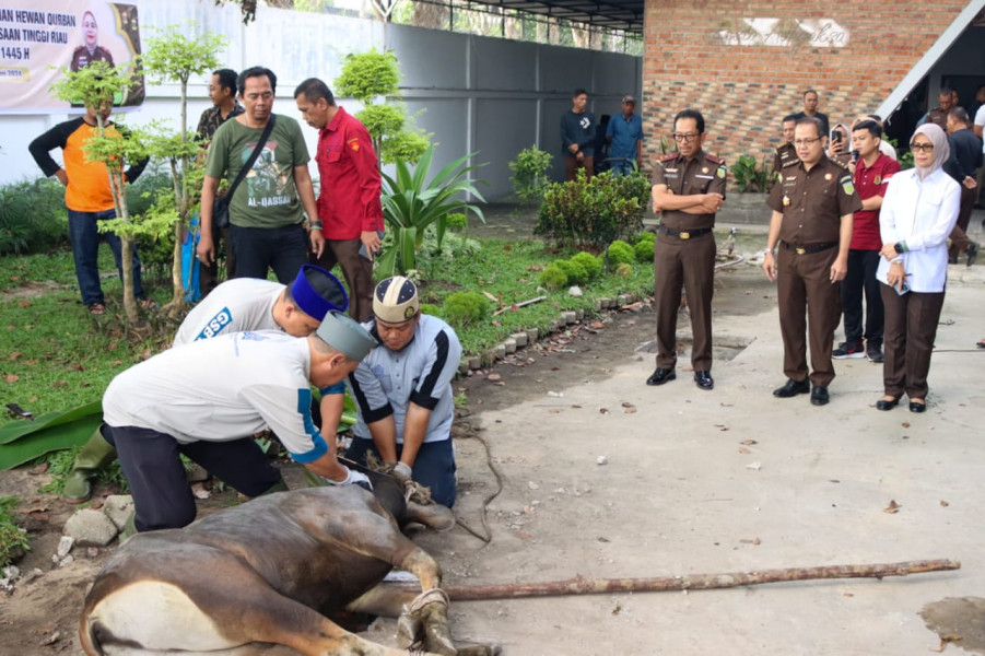 Kejati Riau Melakukan Penyembelihan Hewan Qurban dalam Rangka Idul Adha 1445 H