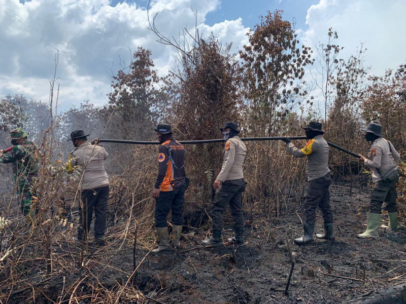 Tim gabungan telah berhasil padamkan Karhutla di Cagar Biosfer hutan Giam Siak Kecil