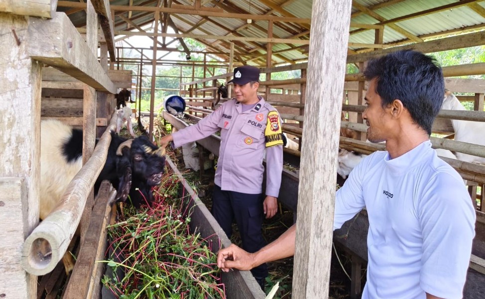 Polsek Kuala Cenaku Sambangi Peternak Kambing di Rawa Asri, Dorong Populasi Ternak Berkelanjutan