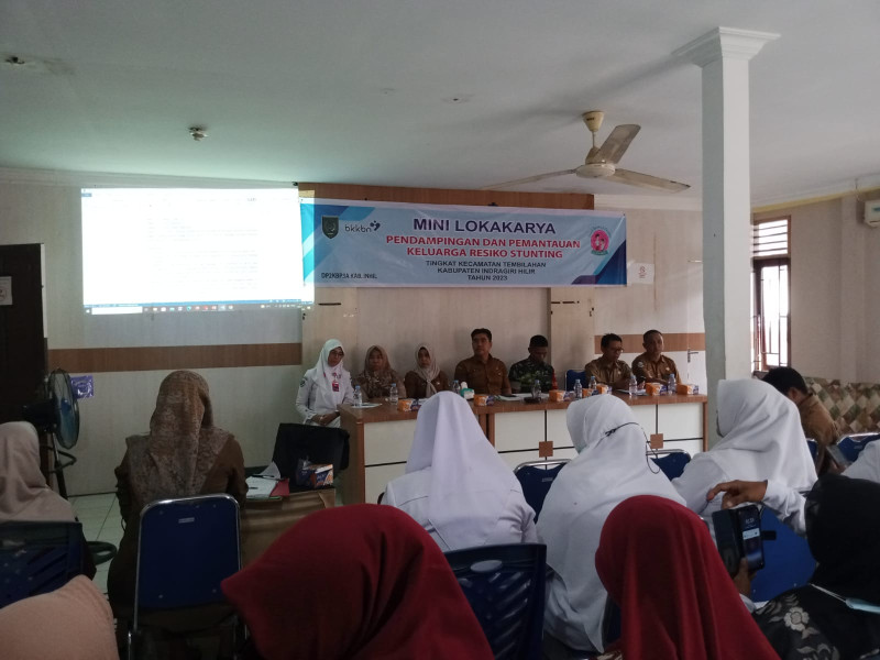 Laksanakan Minilok Pendampingan dan Pemantauan Keluarga Resiko Stunting di Tingkat Kecamatan Tembilahan, Begini Upaya DP2KBP3A Inhil