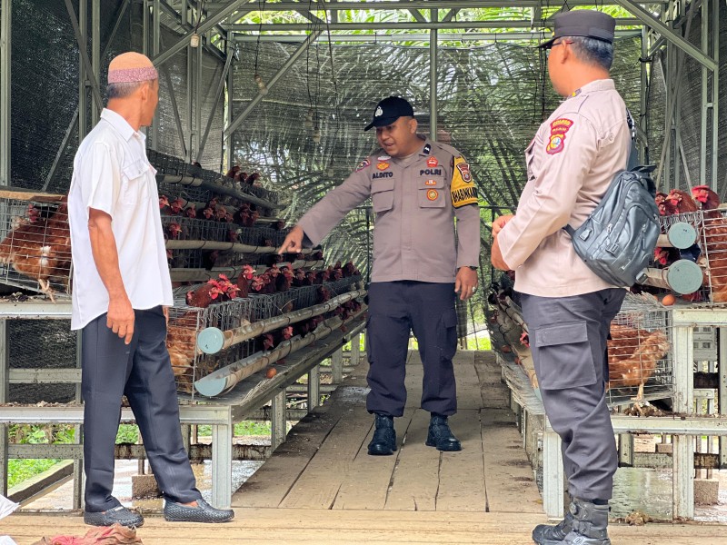 Polsek Lirik Cek Budidaya Ayam Kampung Binaan BUMDes Rejosari