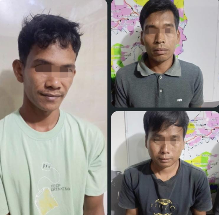 Polres Inhu Amankan Pelaku Tiga Pria Diduga Angkut Olahan dari Kawasan Hutan