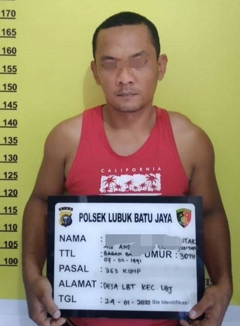 Polsek LBJ Ringkus Pelaku Pencurian Buah Sawit