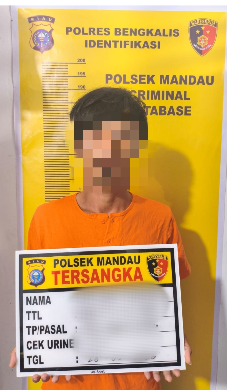 Team Opsnal Polsek Mandau Berhasil Meringkus Pelaku Penganiayaan di Mandau
