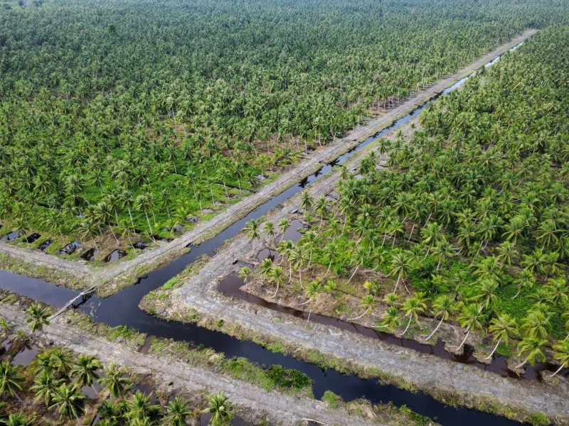 CSR Sambu Group Perkuat Infrastruktur Desa dan Lindungi Kebun Kelapa Petani di Penjuru