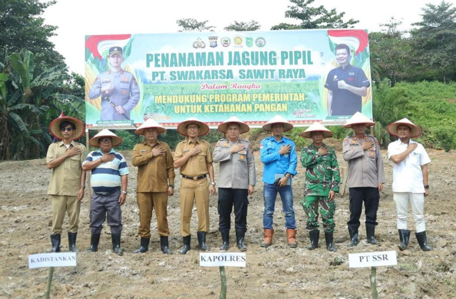 Bersama Polres Inhu, PT SSR Manfaatkan Lahan Kosong di Area Pabrik Jadi Ladang Jagung Pipil