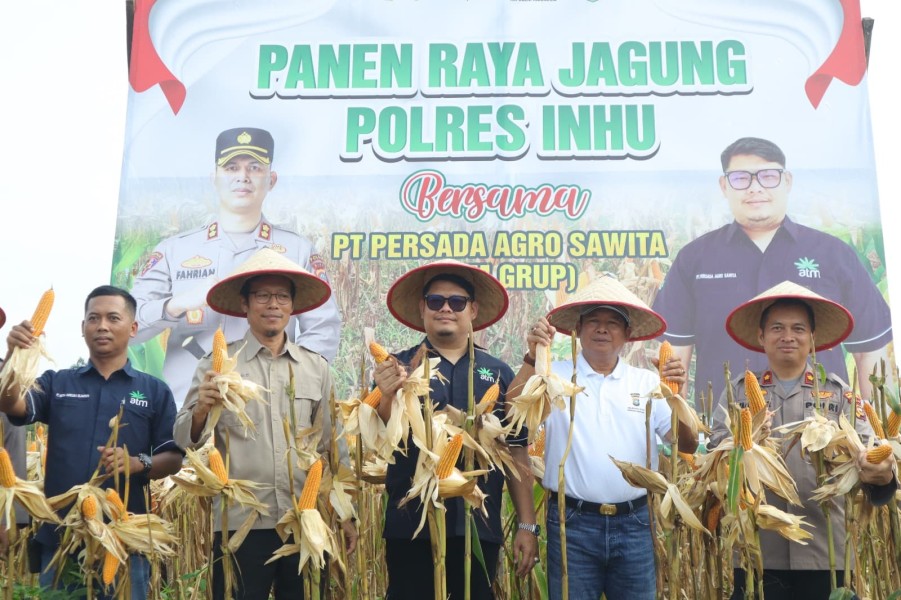 Kompak Pemda Dan Polres Inhu Panen Raya Jagung Di PT PAS, Wakapolres: Pemuda Jangan Malu Jadi Petani