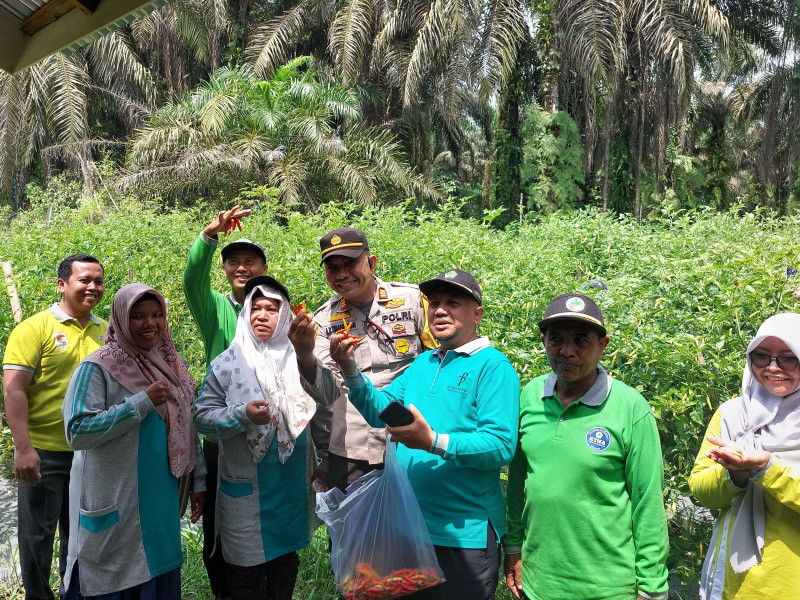 Polsek Pangkalan Lesung Dukung Program Ketahanan Pangan, Sampaikan Pesan Kamtibmas Pasca Pilkada