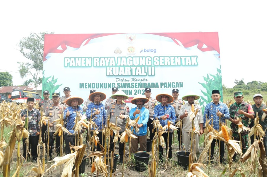 Kapolres Inhu Panen Raya Jagung Serentak Kuartal II Bersama Presiden dan Kelompok Tani