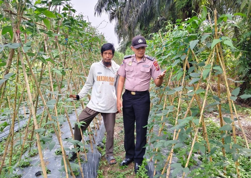 Bhabinkamtibmas Kuala Cenaku Kunjungi Petani Rawa Asri, Ingatkan Bahaya Bakar Lahan