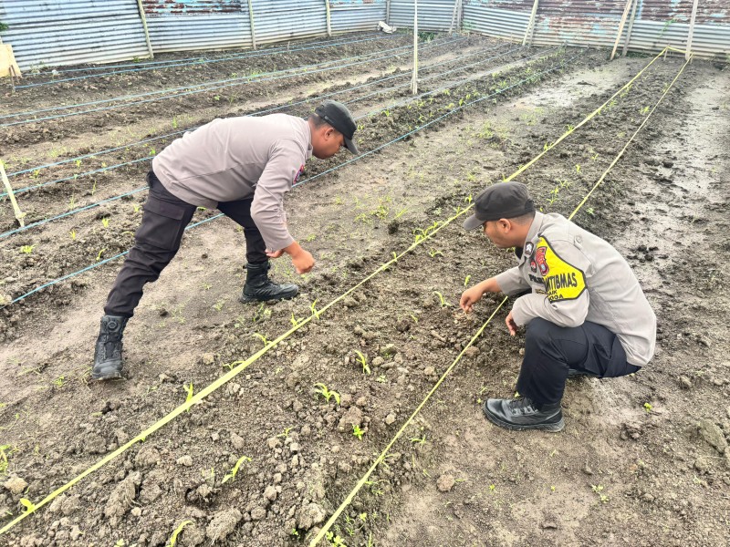 Polsek Daik Lingga Dukung Swasembada Pangan Nasional.
