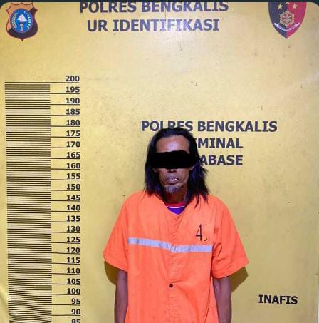 Penjual Cip High Domino di Bengkalis Ditangkap Polisi