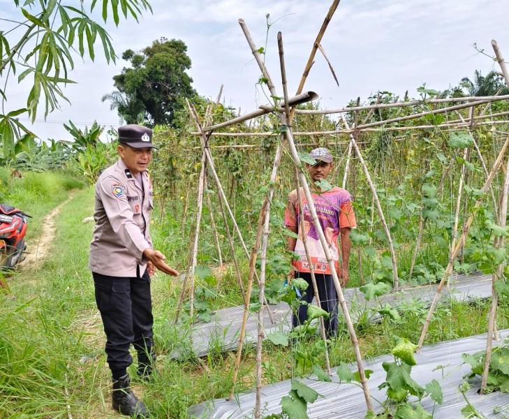 Polsek Kuala Cenaku Hadir Beri Solusi Pertanian dan Tegaskan Bahaya Bakar Lahan