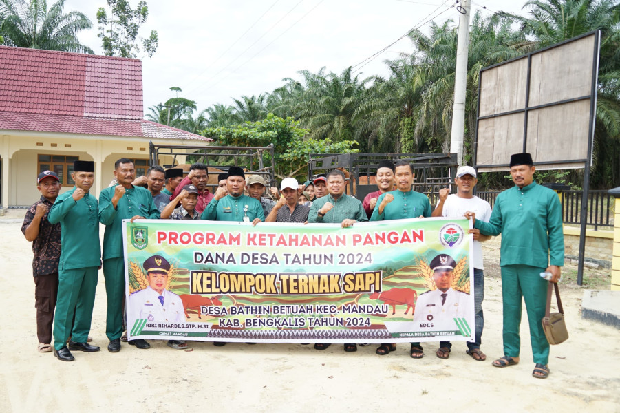 Penyerahan Bantuan Sapi Kepada Masyarakat Desa Bathin Betuah Kecamatan Mandau