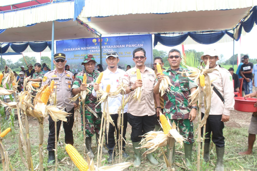 Sukseskan Gerakan Nasional Ketahanan Pangan,Kodim 0314/Inhil Gelar Panen Raya