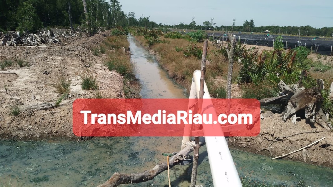 Limbah B3 Cemari Pantai Wisata Tanjung Lapin, Diduga Illegal Warga Minta Berwenang Segera Menutup