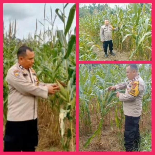 Sinergi Polsek Mandau dan Masyarakat, 