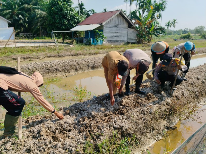 Polsek Kuala Cenaku Tanam Jagung Pipil di Lahan Fasilitas Desa Tanjung Sari