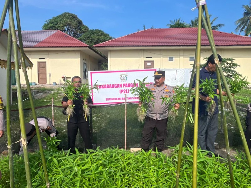 Polsek Senayang Optimalkan Pekarangan untuk Ketahanan Pangan.