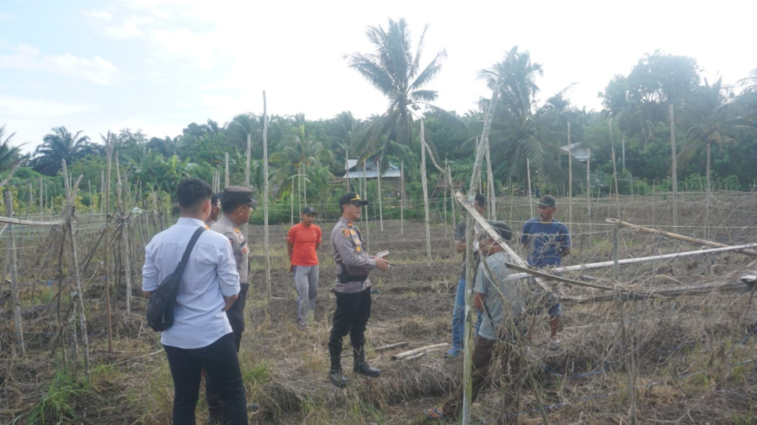 Kapolsek Pangkalan Kuras Tinjau Lokasi Ketahanan Pangan di Desa, Dukung Program Pemerintah