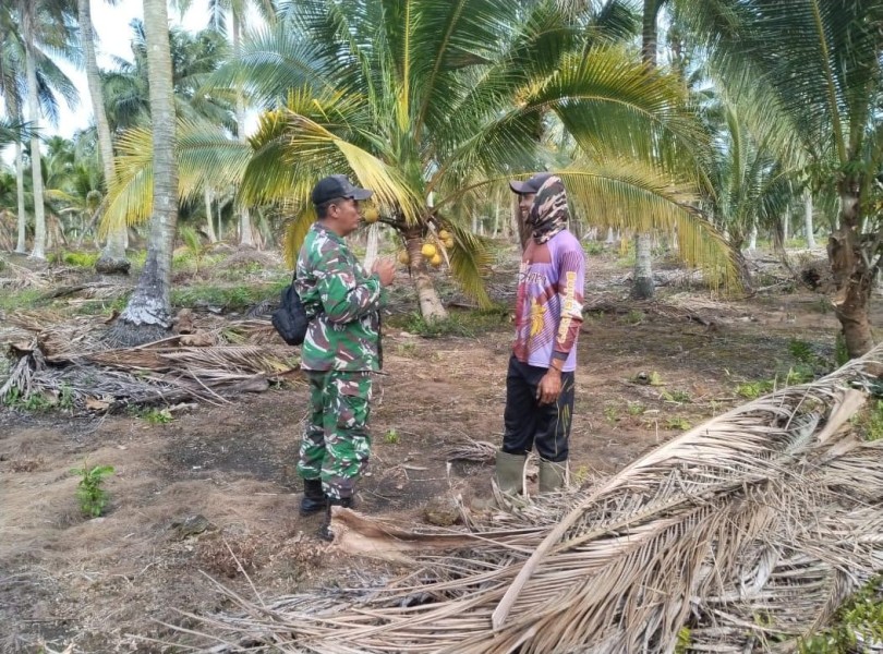 Cegah Karhutla, Kopda Ferry Tuan Manguhal Intensifkan Patroli Tapal Batas
