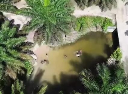 Healing Tipis-Tipis di Tengah Sawit! Ada Sungai Alami di Air Putih SP 6 Inhu yang Jadi Favorit Warga