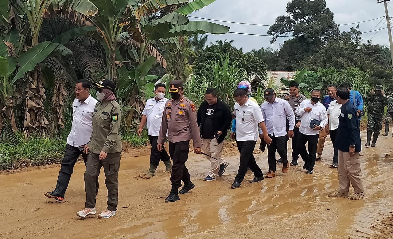 Bupati Rezita Tinjau Perbaikan Jalan Lintas Selatan di Batang Cenaku