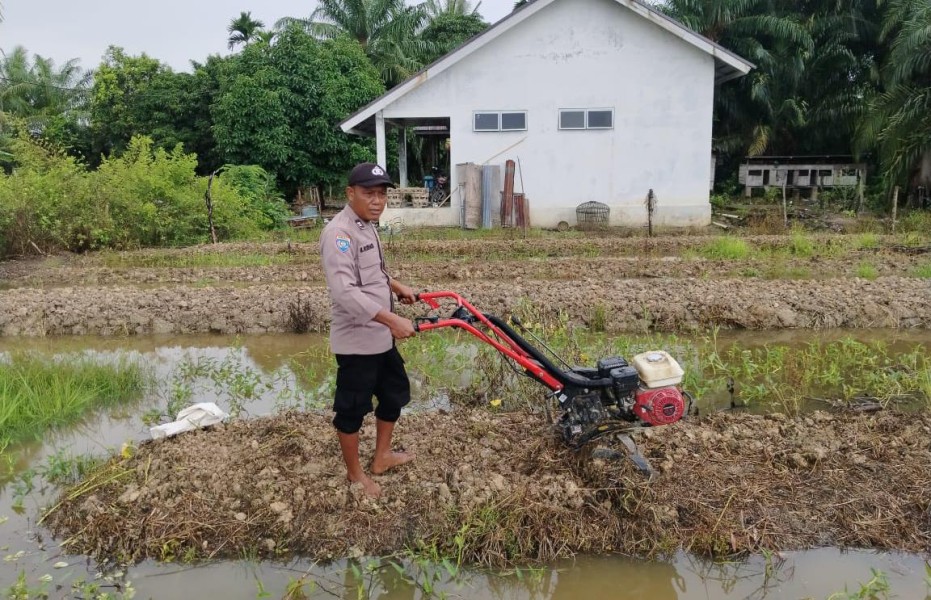 Polsek Kuala Cenaku Olah Lahan Jagung Pipil di Desa Tanjung Sari