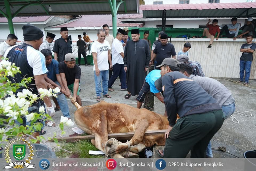 Ketua DPRD Bengkalis Septian Nugraha,Turut Berkurban 8 Ekor Kambing & 3 Ekor Sapi