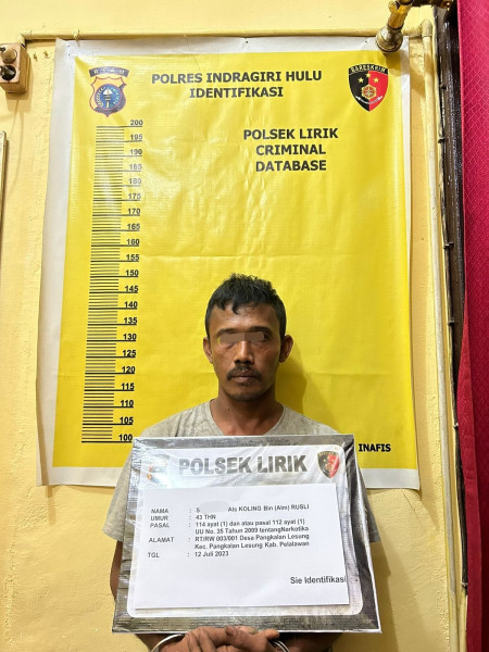 Bawa 2 Paket Sabu, Sopir Truk Diringkus Polisi