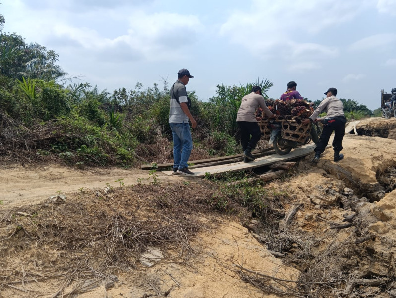 Bhabinkamtibmas Desa Merbau Bantu Warga Angkut Sawit dan Jaga Pilkada Damai