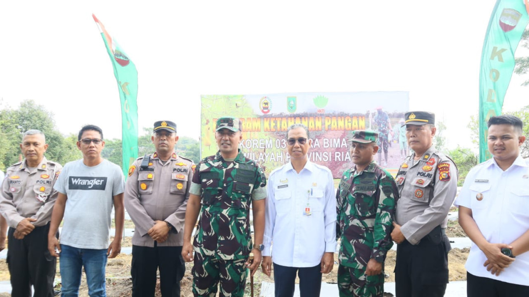 Penanaman Labu Madu,Bupati Bengkalis Berikan Apresiasi Buat Korem 031/WB dan Kodim 0303/Bengkalis